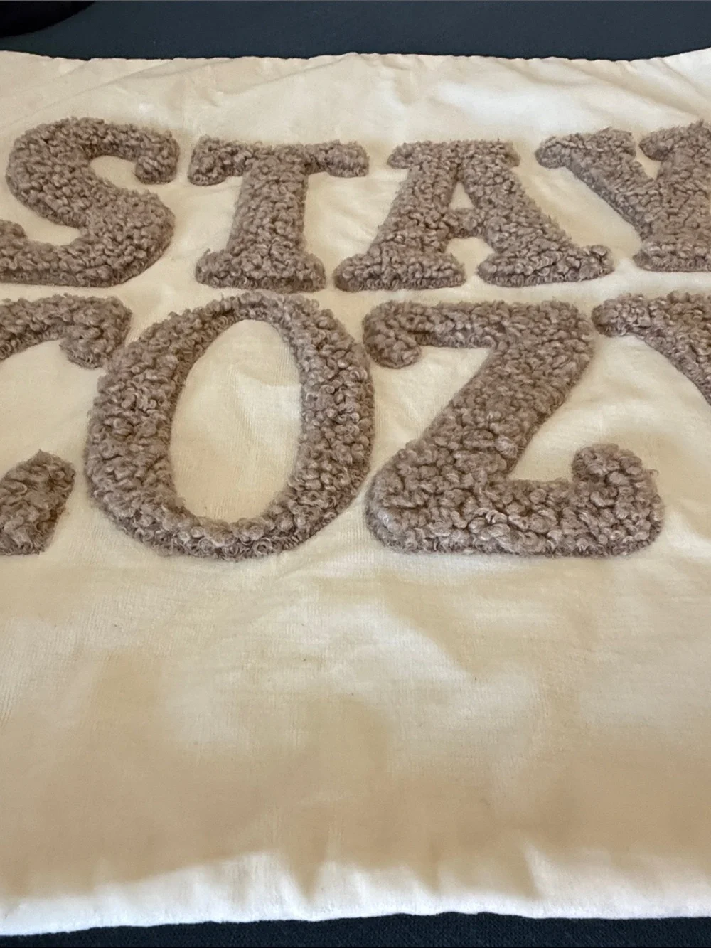 NWOT Stay Cozy Teddy Faux Fur Appliqué Pillow Cover